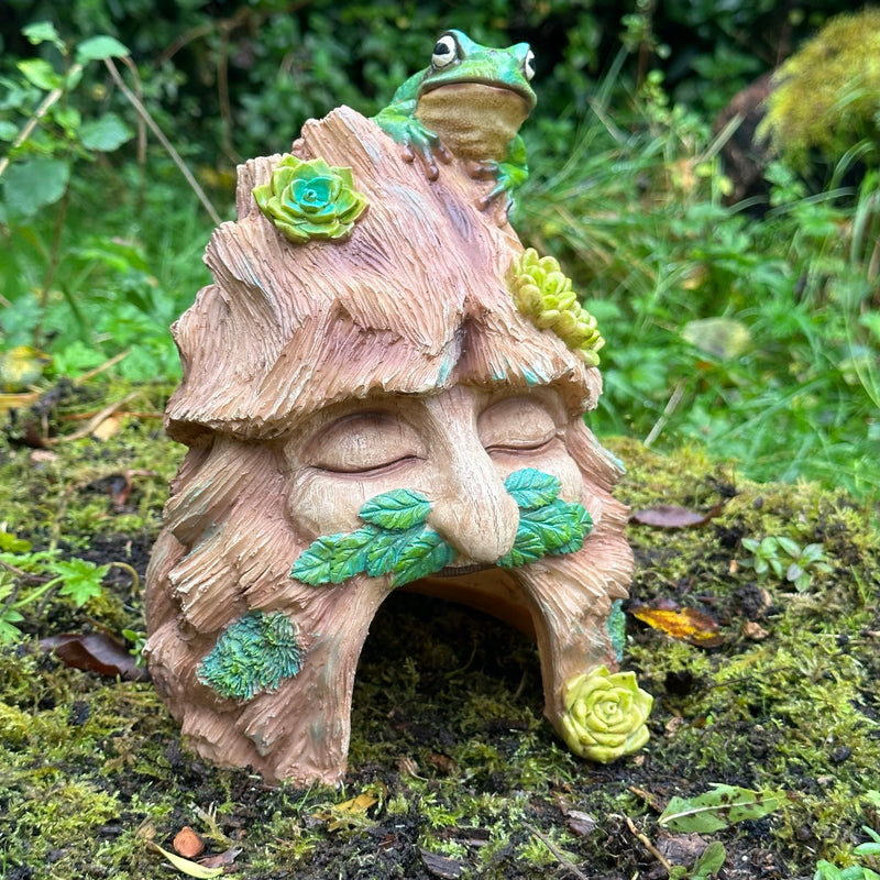 Frog Toad House, face in tree stump design with frog decoration, provides shelter to frogs and other wildlife, novelty frog or wildlife lover gift