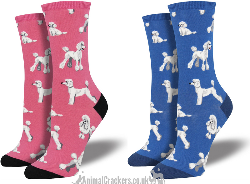 Womens Socksmith 'Oodles of Poodles' design socks in choice of colours (Pink or Blue), One Size