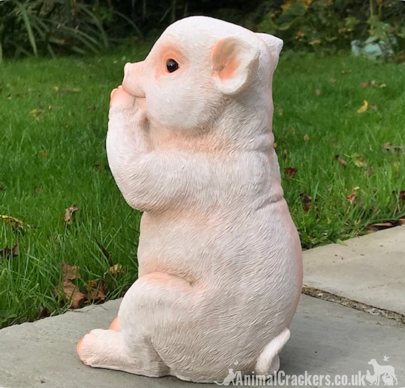 Cute Pig with removable 'Just Going Wee Wee Wee All The Way Home' sign, great novelty garden ornament and Pig lover gift