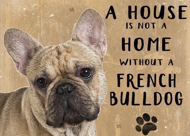 Glückwunschkarte 'A House Is Not A Home Without A Frenchie' – A6, 280 G/m², Blanko Innen, Mit Umschlag