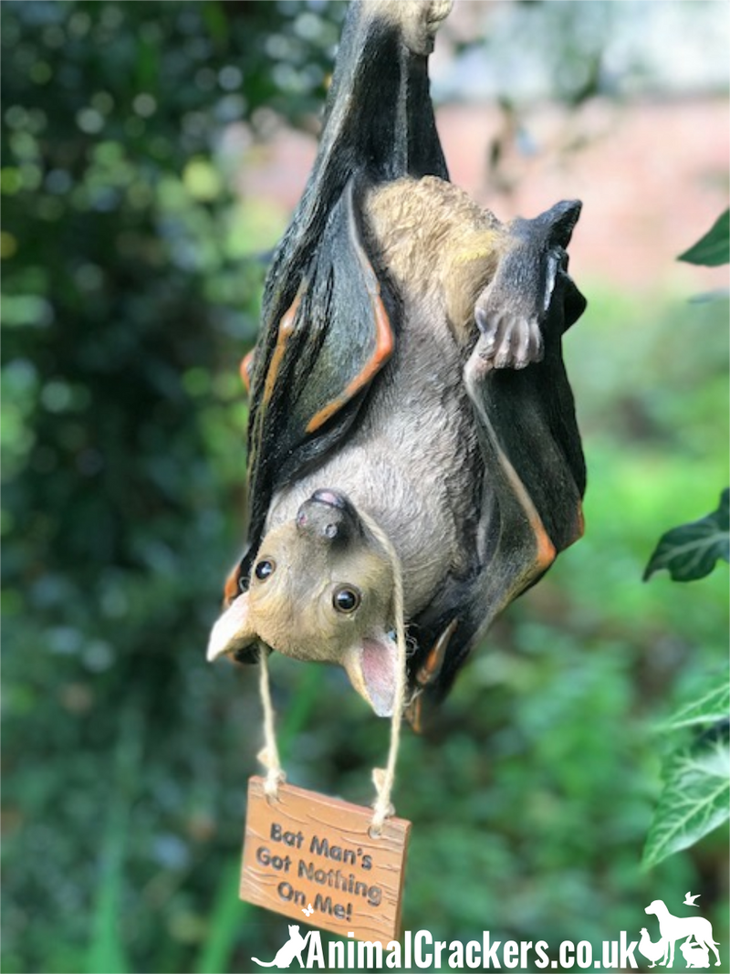 Large 30cm hanging BAT ornament with removable 'Bat Man's Got Nothing On Me!' sign, great novelty Halloween decoration or bat lover gift