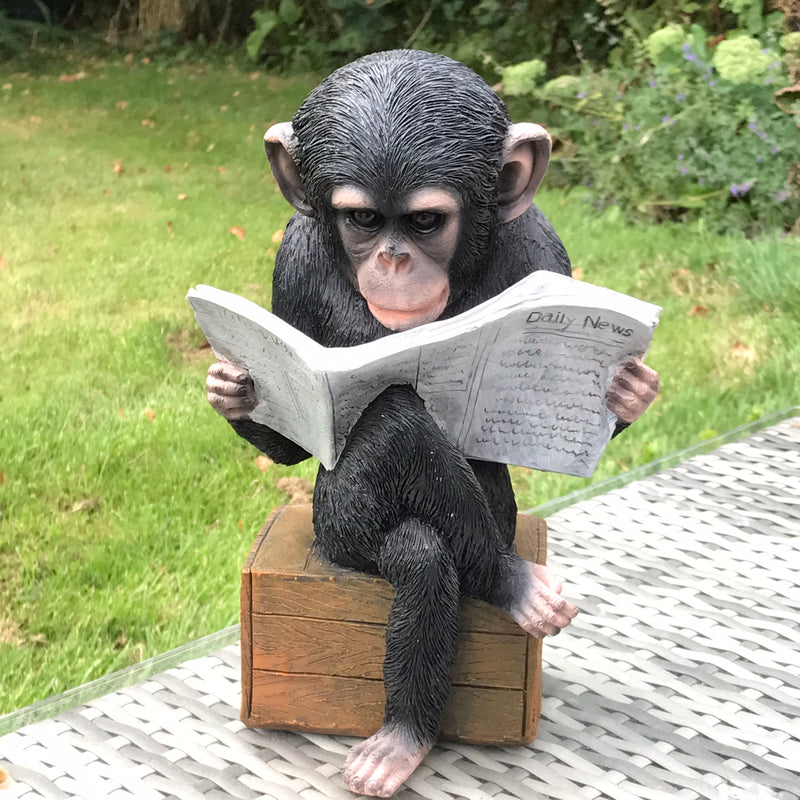 Monkey reading the News novelty indoor ornament or garden decoration