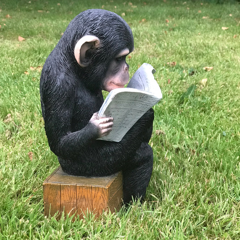 Monkey reading the News novelty indoor ornament or garden decoration