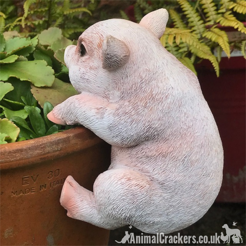CUTE PIGLET POT HANGER novelty resin garden ornament, great Pig lover gift
