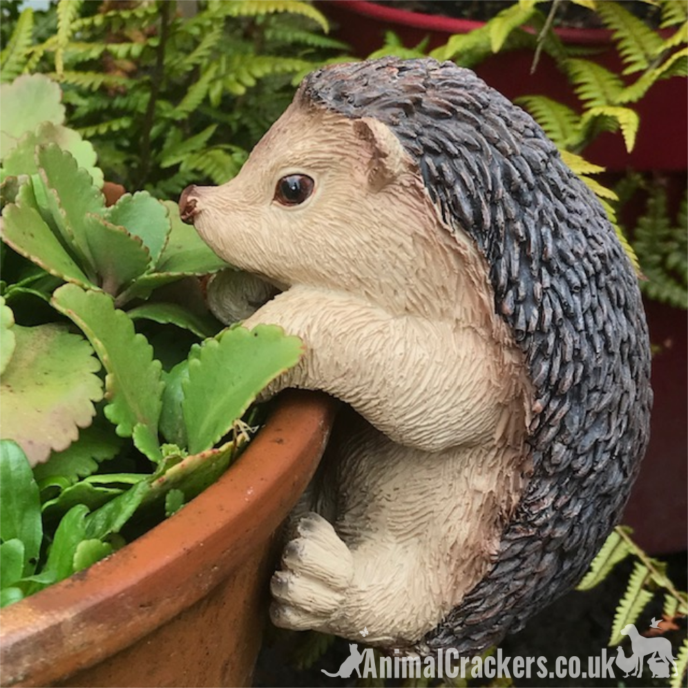 hedgehog plant pot hanger CUTE HEDGEHOG POT HANGER novelty resin garden ornament, great Hedgehog