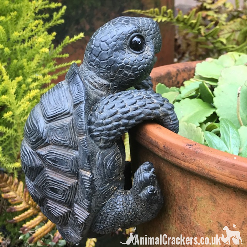 TORTOISE POT HANGER novelty resin garden ornament, great reptile lover gift