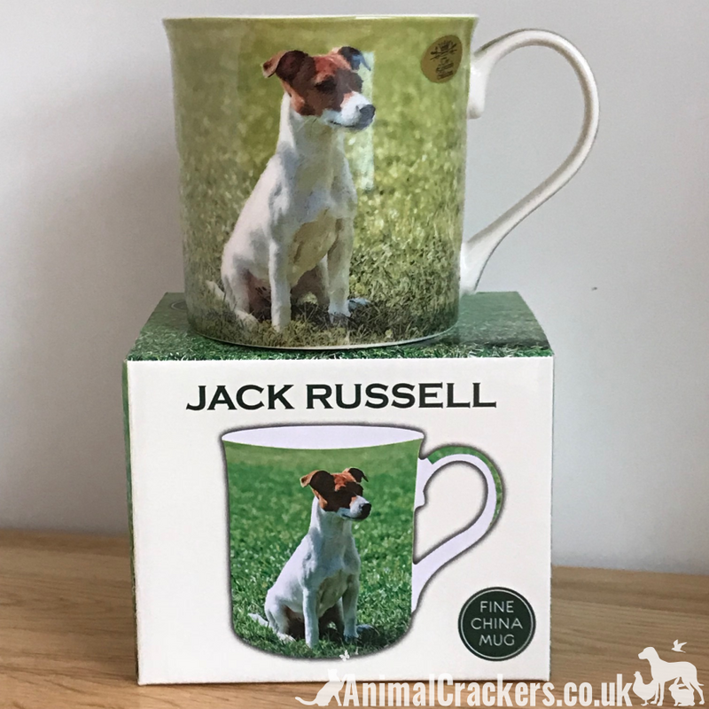 Leonardo quality Jack Russell Terrier fine china mug with all round print, in coloured gift box, great Jack Russell lover gift