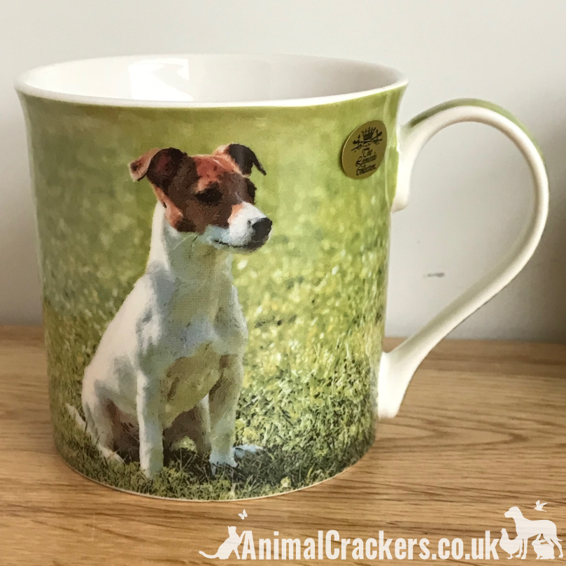 Leonardo quality Jack Russell Terrier fine china mug with all round pr