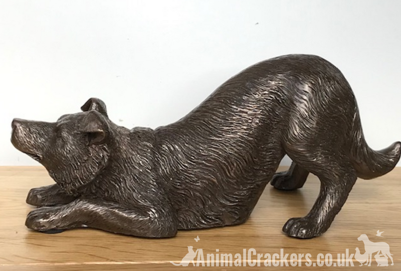 Border Collie figurine in heavy weight cold cast bronze, length 22cm