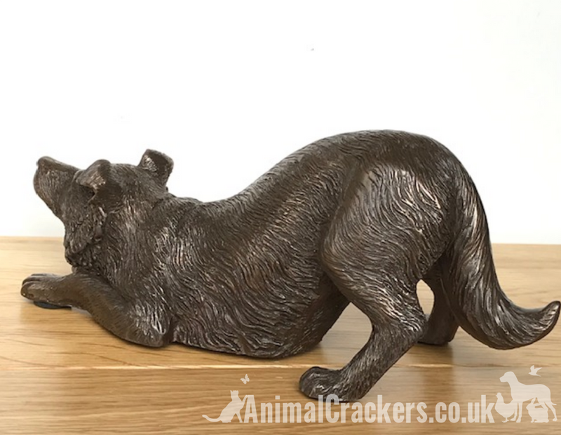 Border Collie figurine in heavy weight cold cast bronze, length 22cm