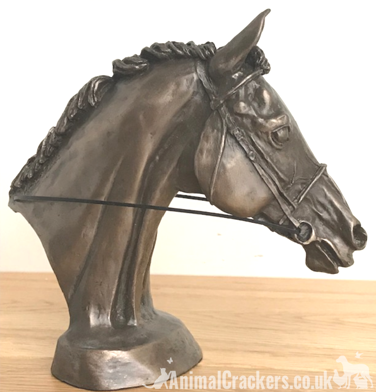 Race Horse Eventer Head bust sculpture in Cold Cast Bronze, by Harriet Glen