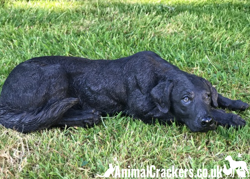 Black Labrador large (44cm long) realistic indoor outdoor garden ornament memorial