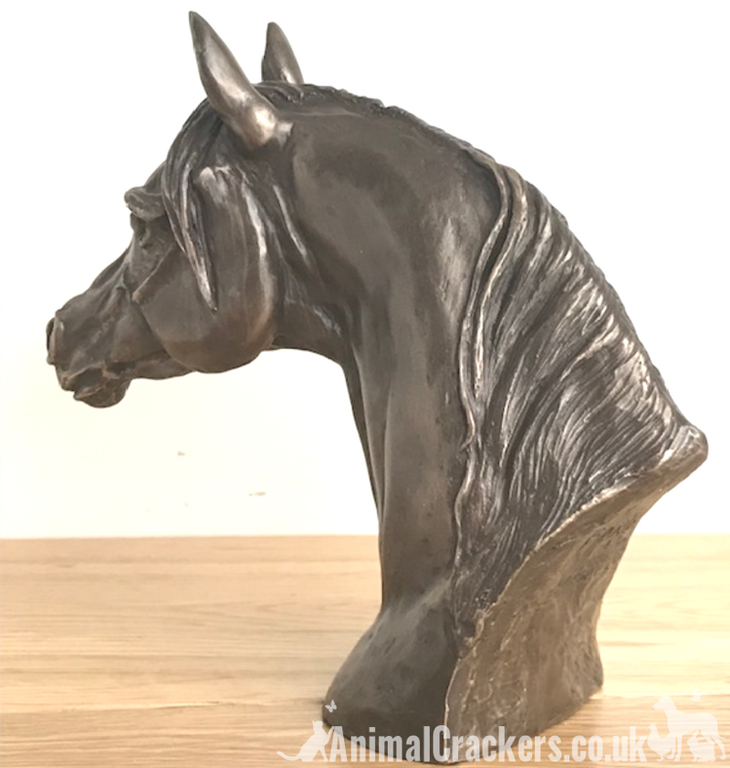 Arab Horse Head bust in Cold Cast Bronze by Harriet Glen, fabulous horse lover sculpture