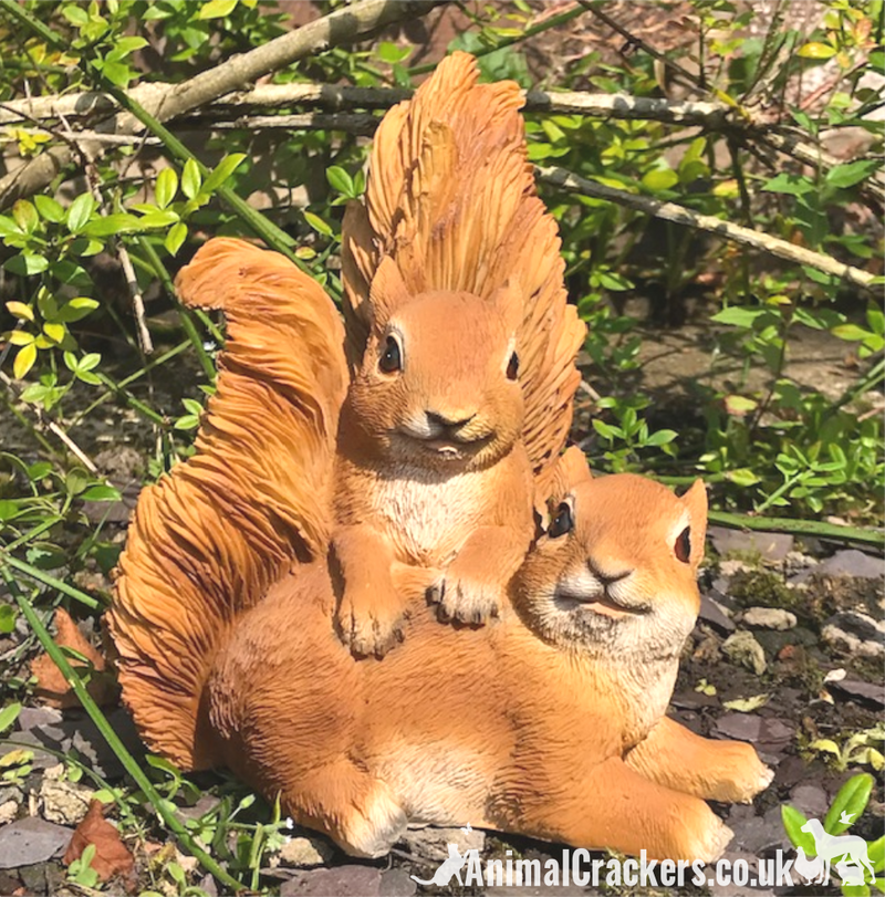 PLAYFUL SQUIRRELS novelty home or garden ornament figurine, great Squirrel lover gift