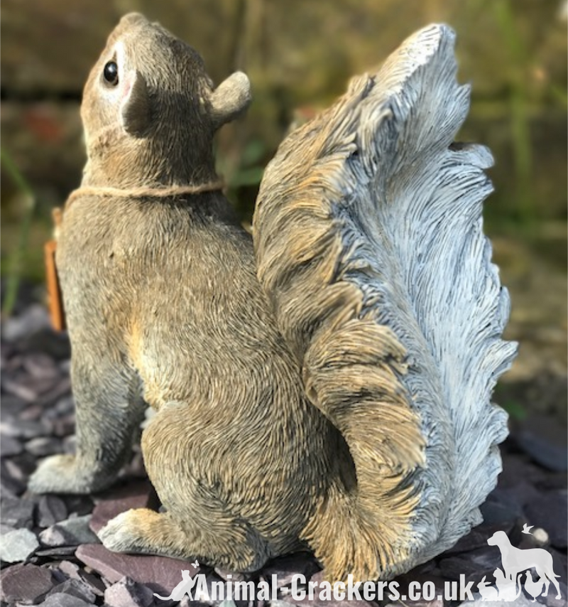 Cheeky Squirrel with removable 'Bird Feeder's Empty' sign garden ornament