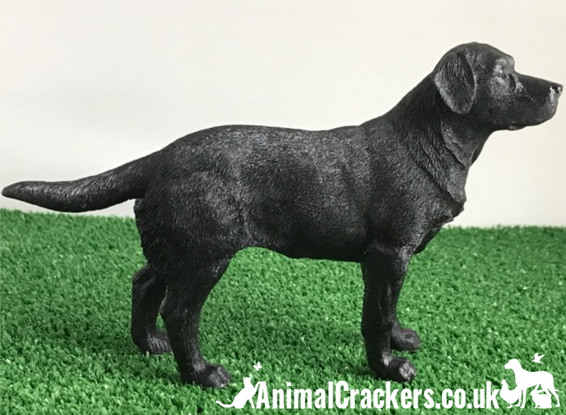 Black Labrador ornament quality lifelike figurine from Leonardo range.Gift boxed