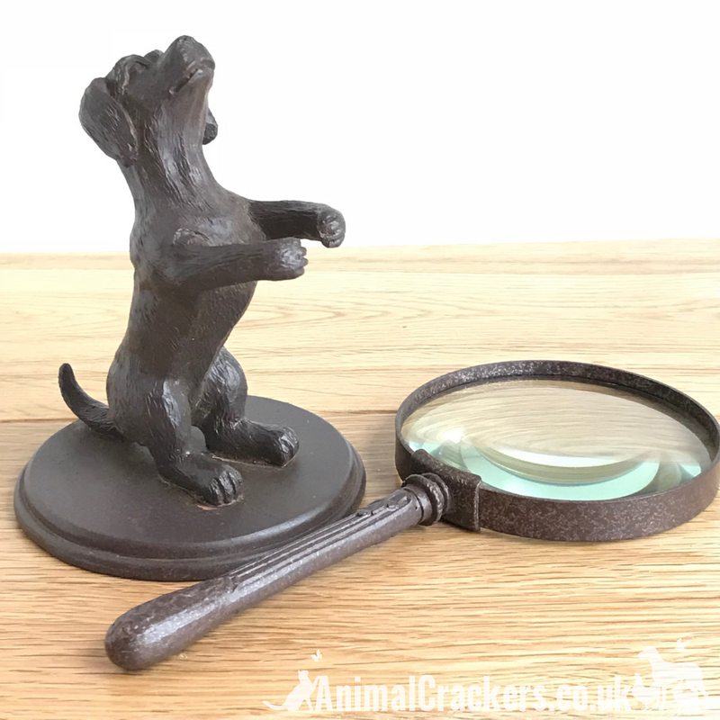 Bronze effect Dog holding magnifying glass ornament sculpture dog lover gift