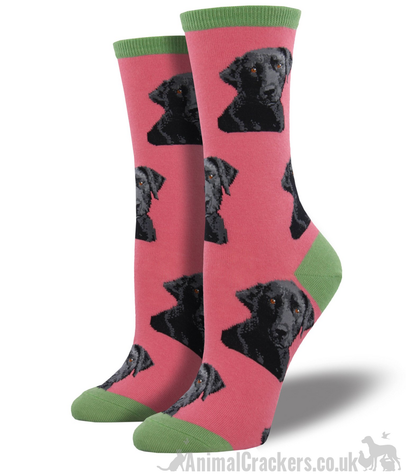 Women's 'Lab-or of love' black Labrador design socks by Socksmith, Dusky Pink, one size