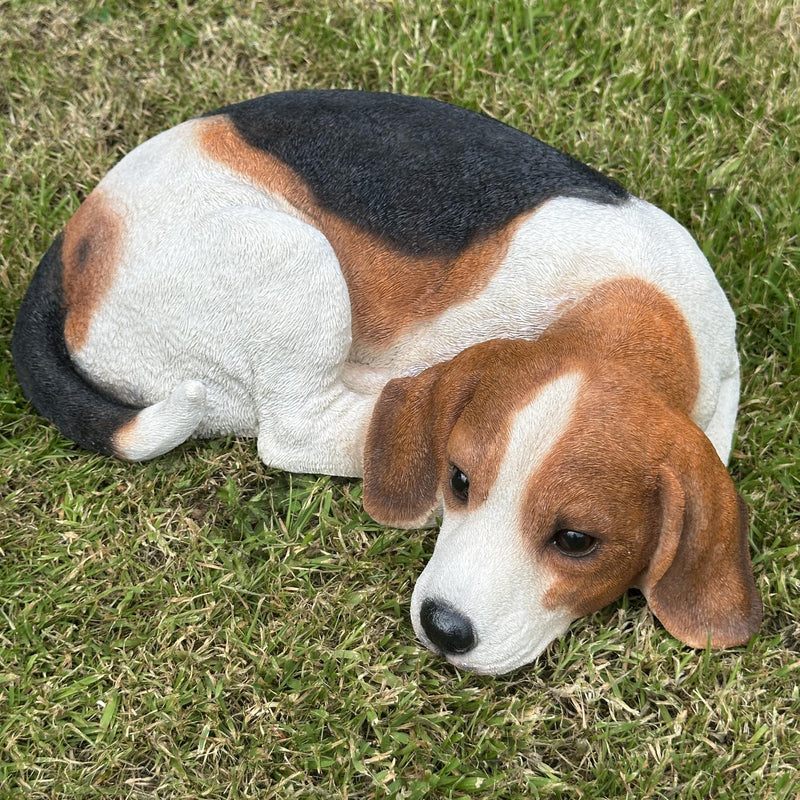 Large realistic laying Beagle Dog figurine home or garden decoration, pet loss gift or memorial