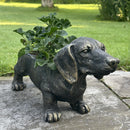 Large (53cm) Dachshund Planter Garden or Patio decoration Sausage Dog Lover Gift