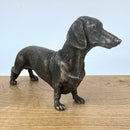 Dachshund figurine in solid cold cast bronze, gift boxed