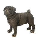 Pug Dog figurine in bronze effect finish from the Leonardo Reflections Bronzed range, in gold gift box