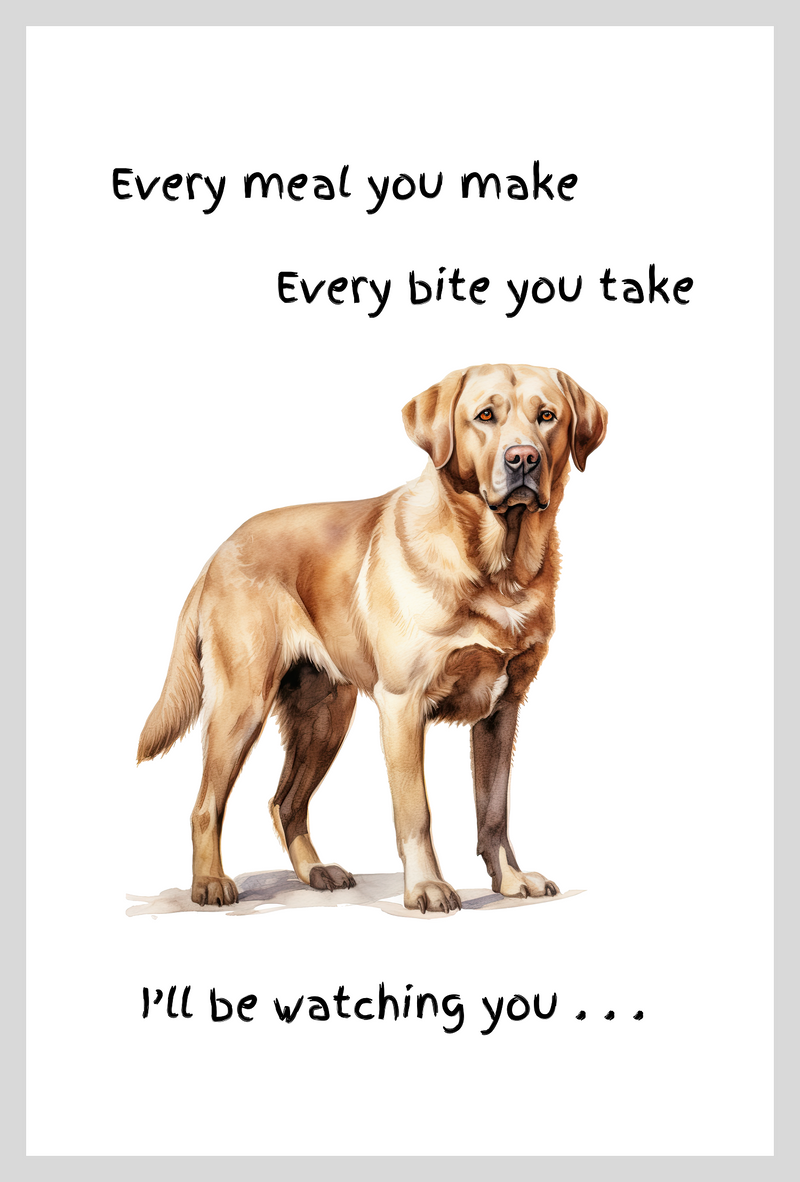 Dog lover novelty Tea Towel, with 'Watching you' funny wording, 100% cotton (Golden Labrador)