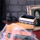 Black Cat On Witches Spell Book Figurine Witch Lover Decoration