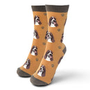 Ladies Springer Spaniel Socks, lovely vibrant colours, soft combed cotton, one size
