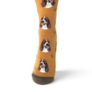 Ladies Springer Spaniel Socks, lovely vibrant colours, soft combed cotton, one size