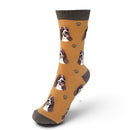Ladies Springer Spaniel Socks, lovely vibrant colours, soft combed cotton, one size