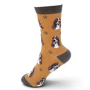 Ladies Springer Spaniel Socks, lovely vibrant colours, soft combed cotton, one size