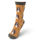 Ladies Springer Spaniel Socks, lovely vibrant colours, soft combed cotton, one size