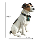 Extra Large 24cm Jack Russell ornament figurine lifelike Leonardo, gift boxed