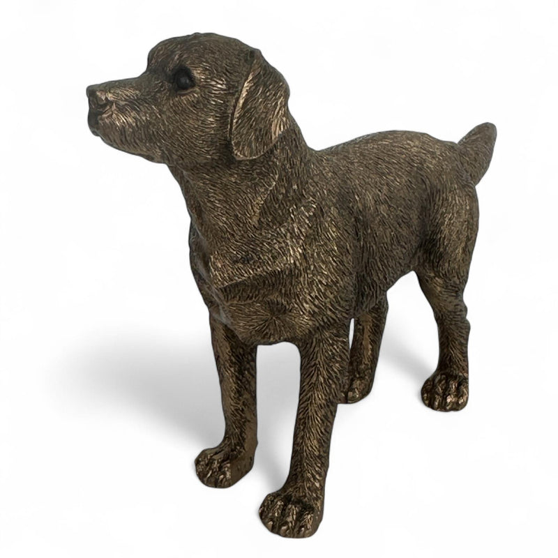 Labrador Dog figurine, Leonardo Reflections Bronzed, gift boxed