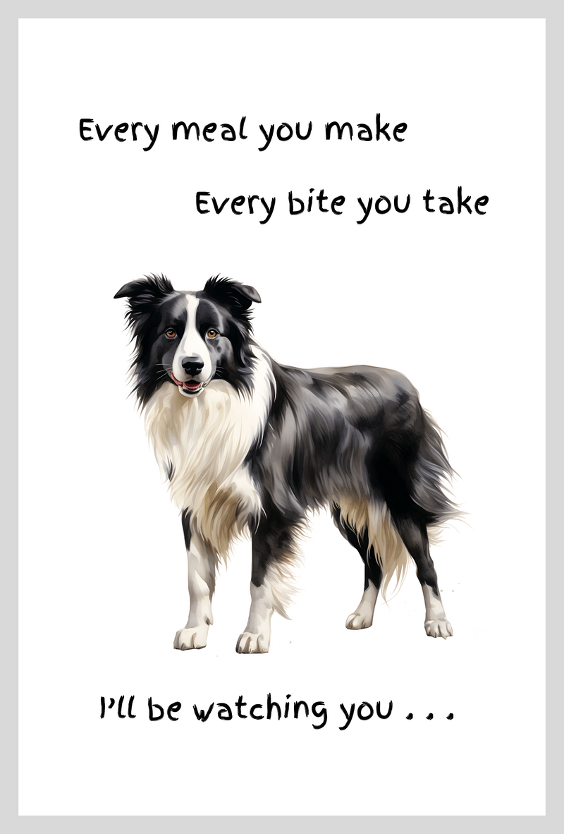 Dog lover novelty Tea Towel, with 'Watching you' funny wording, 100% cotton (Border Collie)