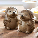 Hedgehogs design ceramic Salt & Pepper shaker set, gift boxed
