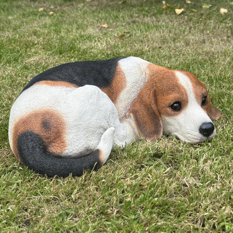 Large realistic laying Beagle Dog figurine home or garden decoration, pet loss gift or memorial