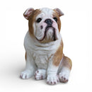 Realistic sitting English Bulldog figurine, height 20cm