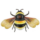 3 x 30cm mixed colour metal Bumble Bees, bright colour garden decoration