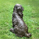 Sitting Spaniel figurine, large heavy weight home or garden decoration, 40cm