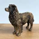 Border Collie Dog figurine, Leonardo Reflections Bronzed, gift boxed