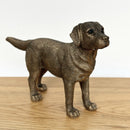 Labrador Dog figurine, Leonardo Reflections Bronzed, gift boxed