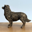Border Collie Dog figurine, Leonardo Reflections Bronzed, gift boxed