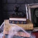 Black Cat On Witches Spell Book Figurine Witch Lover Decoration
