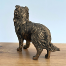Border Collie Dog figurine, Leonardo Reflections Bronzed, gift boxed