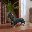 Black & Tan Dachshund Sausage Dog Leonardo lifelike ornament figurine gift boxed