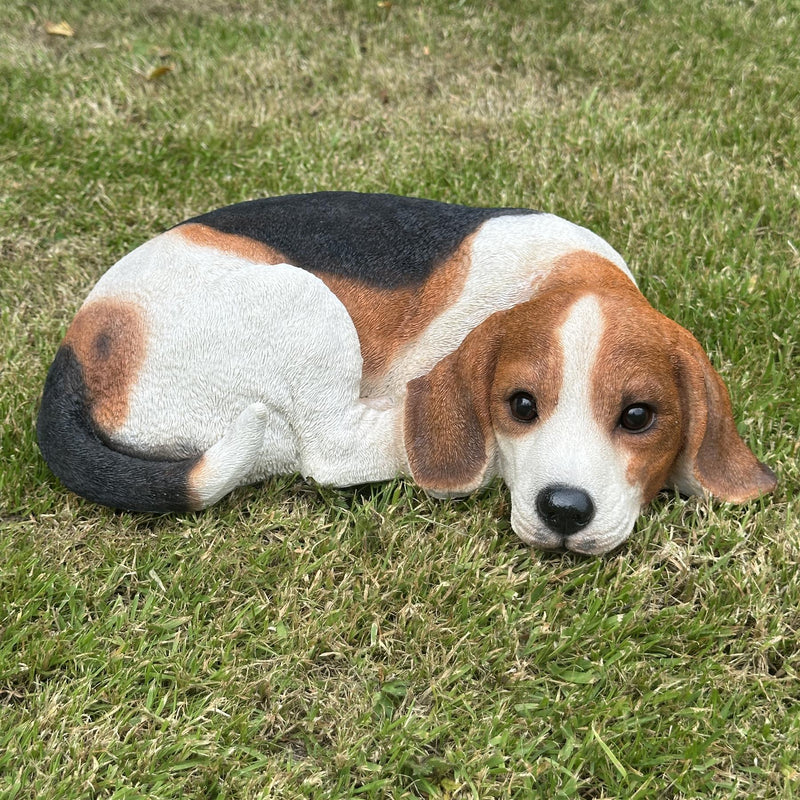 Large realistic laying Beagle Dog figurine home or garden decoration, pet loss gift or memorial