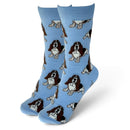 Women's Basset Hound Dog Socks, Quality Cotton Mix, Vibrant Colours, One Size