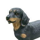 Large Dachshund in bright green Wellington Boots 'Welly Dog' figurine home or garden decoration (25cm)